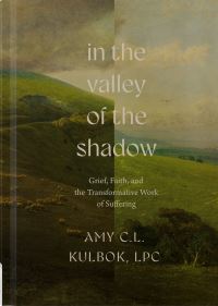 Book Cover for In the Valley of the Shadow by Amy CL Kulbok