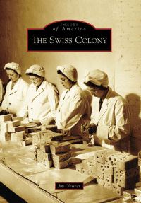 Book Cover for The Swiss Colony by Jim Glessner