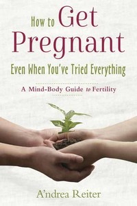 Book Cover for How to Get Pregnant Even When You've Tried Everything by Andrea Reiter
