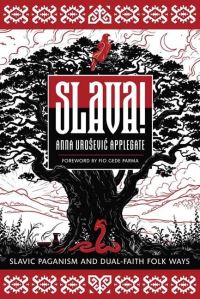 Book Cover for Slava! by Anna UroseviÔc Applegate