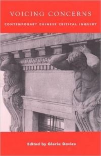 Book Cover for Voicing Concerns by Gloria Davies
