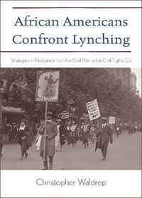 Book Cover for African Americans Confront Lynching by Christopher Waldrep