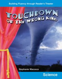 Book Cover for Touchdown of the Wrong Kind by Stephanie Macceca