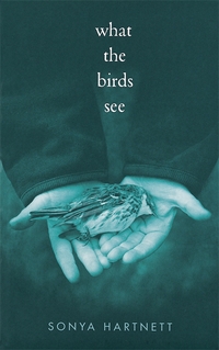 Book Cover for What the Birds See by Sonya Hartnett