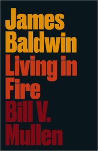 Book Cover for James Baldwin by Bill Mullen