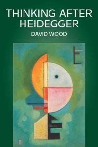 Book Cover for Thinking After Heidegger by David Wood