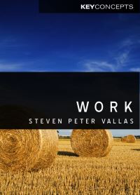 Book Cover for Work by Steven P Vallas