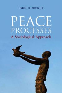 Book Cover for Peace Processes by John D Brewer