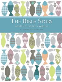 Book Cover for The Bible Story Retold in Twelve Chapters by Andrea Skevington