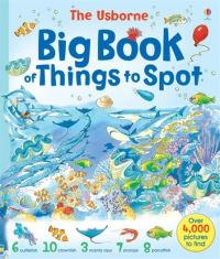 Book Cover for The Usborne Big Book of Things to Spot by Teri Gower, Ruth Brocklehurst, Gillian Doherty, Anna Milbourne