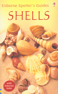 Book Cover for Shells by Graham D Saunders