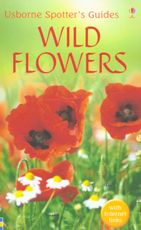 Book Cover for Wild Flowers by C J Humphries, Hilary Burn
