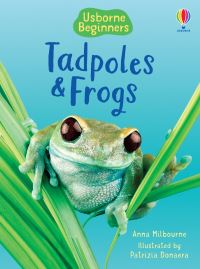 Book Cover for Tadpoles and Frogs by Anna Milbourne, Patrizia Donaera, Zoë Wray, Christopher Mattison, Alison Kelly