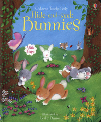 Book Cover for Hide-and-Seek Bunnies by Lesley Danson, Fiona Watt