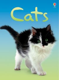 Book Cover for Cats by Anna Milbourne, Patrizia Donaera, Christyan Fox, Claire Bessant, Alison Kelly