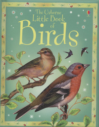 Book Cover for The Usborne Little Book of Birds by Sarah Khan, Keith Furnival, Derek Niemann, Kirsteen Rogers