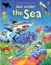 Book Cover for Under the Sea by Katie Daynes, Colin King