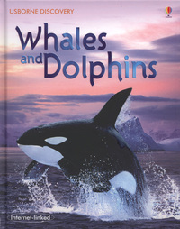 Book Cover for Whales and Dolphins by Susanna Davidson, John Woodcock, Sónia Mendes