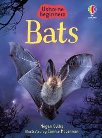 Book Cover for Bats by Megan Cullis, Connie McLennan, Sue King