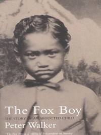 Book Cover for The Fox Boy by Peter Walker