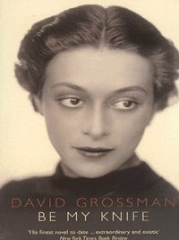 Book Cover for Be My Knife by David Grossman