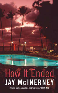 Book Cover for How It Ended by Jay McInerney