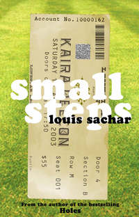 Book Cover for Small Steps by Louis Sachar