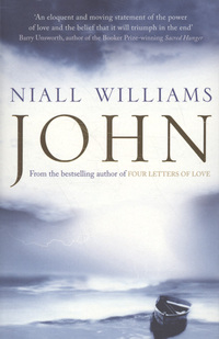 Book Cover for John by Niall Williams