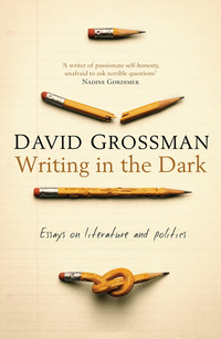 Book Cover for Writing in the Dark by David Grossman