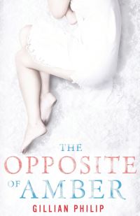 Book Cover for The Opposite of Amber by Gillian Philip
