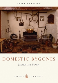 Book Cover for Domestic Bygones by Jacqueline Fearn