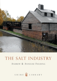 Book Cover for The Salt Industry by Andrew Fielding, Annelise Fielding