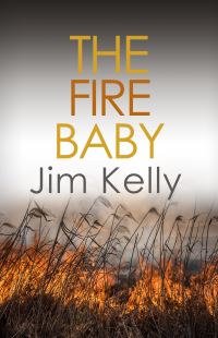 Book Cover for The Fire Baby by Jim Kelly