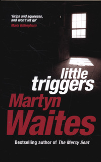 Book Cover for Little Triggers by Martyn Waites