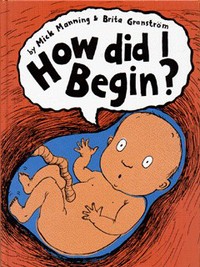 Book Cover for How Did I Begin? by Mick Manning, Brita Granström