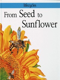 Book Cover for From Seed to Sunflower by Gerald Legg, Carolyn Scrace, David Salariya