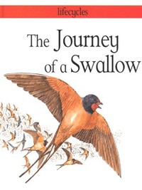 Book Cover for The Journey of a Swallow by Carolyn Scrace, David Salariya