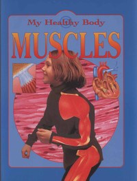 Book Cover for Muscles by Jen Green