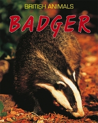 Book Cover for Badger by Michael Leach