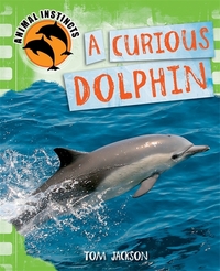 Book Cover for A Curious Dolphin by Tom Jackson