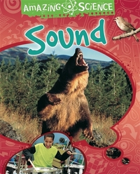 Book Cover for Sound by Sally Hewitt