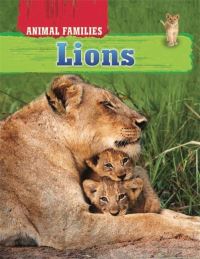 Book Cover for Lions by Tim Harris