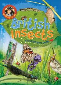 Book Cover for British Insects by Victoria Munson