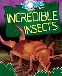 Book Cover for Zoom in on ... Incredible Insects by Richard Spilsbury