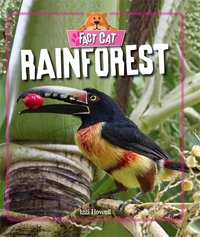 Book Cover for Rainforest by Izzi Howell