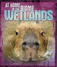 Book Cover for Wetlands by Louise Spilsbury, Richard Spilsbury