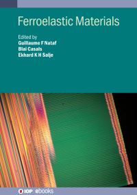 Book Cover for Ferroelastic Materials by Guillaume F Nataf, Ekhard K H Salje, Blai Casals