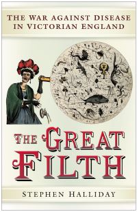 Book Cover for The Great Filth by Stephen Halliday
