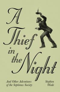 Book Cover for A Thief in the Night by Stephen Wade