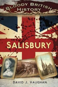 Book Cover for Salisbury by David J Vaughan